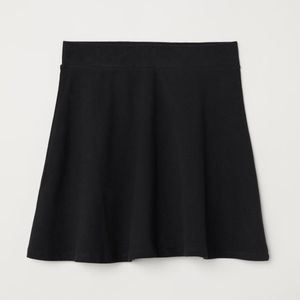 H&M Skater Skirt